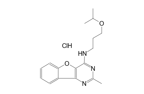 N-(3-isopropoxypropyl)-2-methyl[1]benzofuro[3,2-d]pyrimidin-4-amine hydrochloride