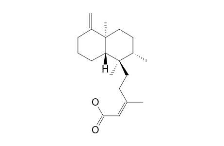 CLERODA-4(18),13E-DIEN-15-OIC-ACID