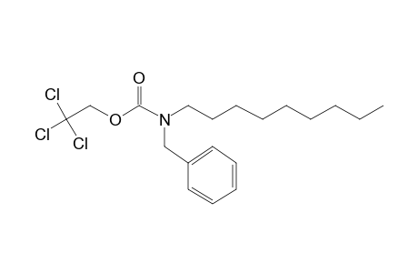 Carbonic acid, monoamide, N-benzyl-N-nonyl-, 2,2,2-trichloroethyl ester