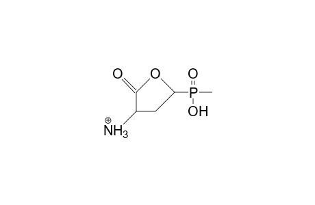 DL-5-(Hydroxy-<methyl>-phosphinyl)-2-oxo-tetrahydro-furan-3-amine cation