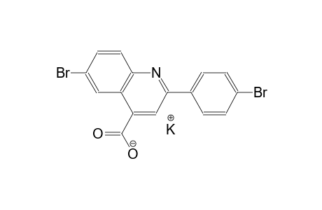 potassium 6-bromo-2-(4-bromophenyl)-4-quinolinecarboxylate