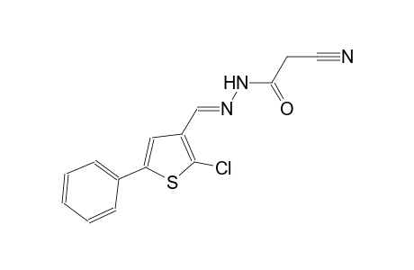 acetic acid, cyano-, 2-[(E)-(2-chloro-5-phenyl-3-thienyl)methylidene]hydrazide