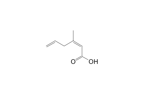 (2Z)-3-methylhexa-2,5-dienoic acid