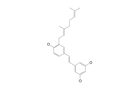 SCHWEINFURTHIN_I