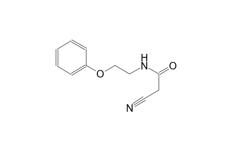 2-Cyano-N-(2-phenoxyethyl)acetamide