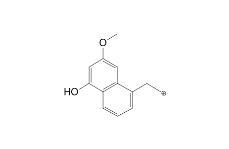 Agomelatine-M (HO-) MS3_2