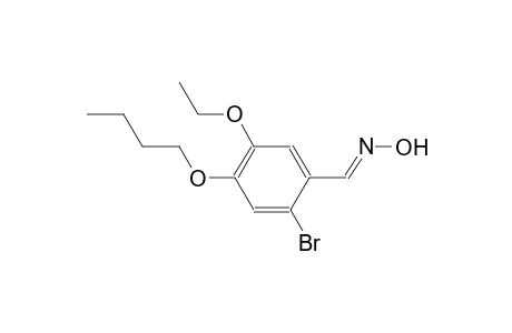 2-bromo-4-butoxy-5-ethoxybenzaldehyde oxime