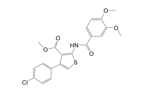 methyl 4-(4-chlorophenyl)-2-[(3,4-dimethoxybenzoyl)amino]-3-thiophenecarboxylate