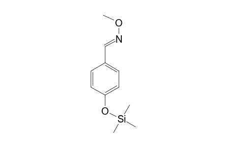 4-Hydroxybenzaldehyde, 1TMS, 1MEOX