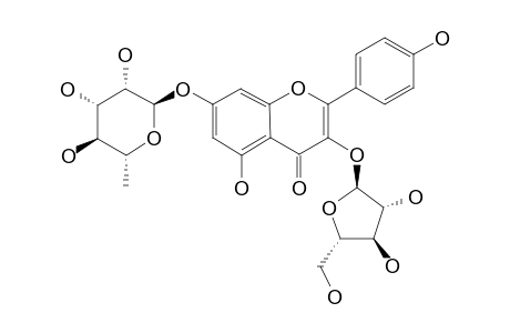 KAEMPFEROL-3-O-ALPHA-L-ARABINOFURANOSYL-7-O-ALPHA-L-RHAMNOPYRANOSIDE