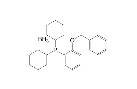 (2-(Benzyloxy)phenyl)dicyclohexylphosphine Borane