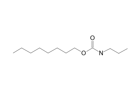 Carbonic acid, monoamide, N-propyl-, octyl ester