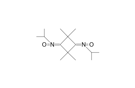 N,N'-(2,2,4,4-Tetramethyl-cyclobutanediylidene)-bis-isopropylamine N,N'-dioxide
