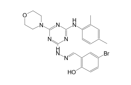 benzaldehyde, 5-bromo-2-hydroxy-, [4-[(2,4-dimethylphenyl)amino]-6-(4-morpholinyl)-1,3,5-triazin-2-yl]hydrazone