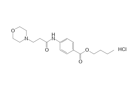 p-(3-morpholinopropionamido)benzoic acid, butyl ester, hydrochloride