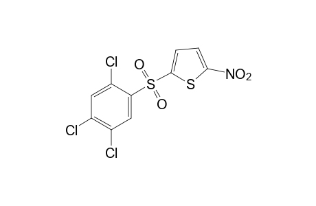 2-nitro-5-[(2,4,5-trichlorophenyl)sulfonyl]thiophene