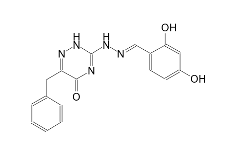 2,4-dihydroxybenzaldehyde (6-benzyl-5-oxo-2,5-dihydro-1,2,4-triazin-3-yl)hydrazone