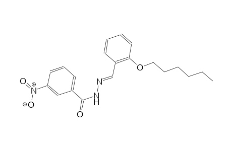 N'-{(E)-[2-(hexyloxy)phenyl]methylidene}-3-nitrobenzohydrazide