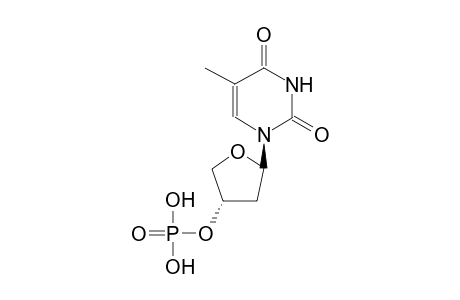 2'-Deoxythymidine-3'-phosphate