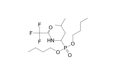 Dibutyl 3-methyl-1-(n-trifluoroacetylamino)butylphosphonate