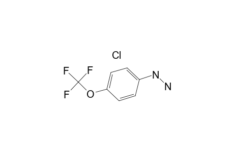 4-(Trifluoromethoxy)phenylhydrazine hydrochloride
