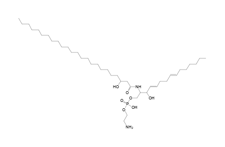 PE-Cer 15:2;2O/24:0;O