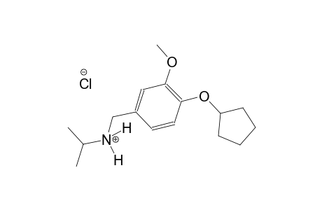 N-[4-(cyclopentyloxy)-3-methoxybenzyl]-2-propanaminium chloride