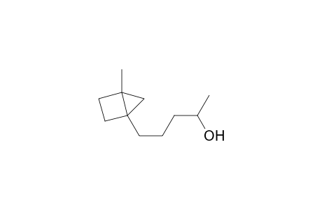 1-(4-Hydroxypentyl)-4-methylbicyclo[2.1.0]pentane