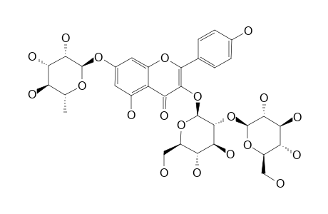 KAEMPFEROL-3-O-BETA-GLUCOPYRANOSYL-(1->2)-BETA-GLUCOPYRANOSYL-7-O-ALPHA-RHAMNOPYRANOSIDE