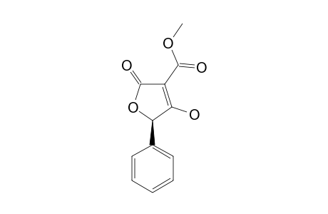 3-METHOXYCARBONYL-5-PHENYL-TETRONIC-ACID