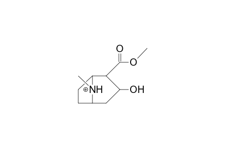 Ecgonine methyl ester N-cation