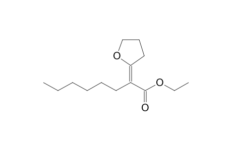 (2E)-2-(2-oxolanylidene)octanoic acid ethyl ester