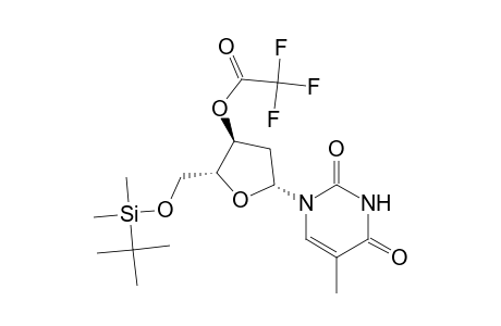 Thymidine, 5'-O-[(1,1-dimethylethyl)dimethylsilyl]-, 3'-(trifluoroacetate)