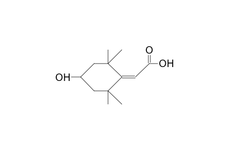 4-Hydroxy-2,2,6,6-tetramethyl-cyclohexylidene-acetic acid