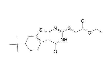 ethyl [(7-tert-butyl-4-oxo-3,4,5,6,7,8-hexahydro[1]benzothieno[2,3-d]pyrimidin-2-yl)sulfanyl]acetate