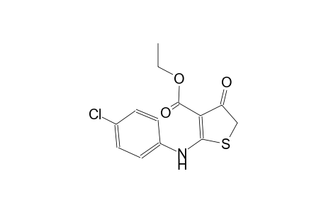 ethyl 2-(4-chloroanilino)-4-oxo-4,5-dihydro-3-thiophenecarboxylate