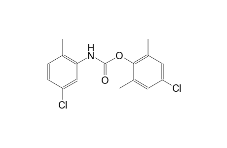 4-chloro-2,6-dimethylphenyl 5-chloro-2-methylphenylcarbamate