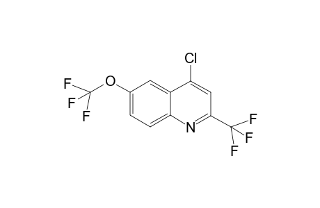 4-Chloro-6-(trifluoromethoxy)-2-(trifluoromethyl)quinoline