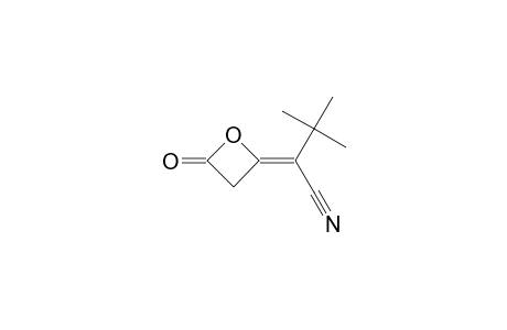 Butanenitrile, 3,3-dimethyl-2-(4-oxo-2-oxetanylidene)-