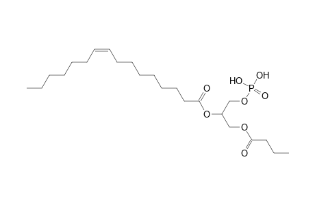 PA 4:0_16:1