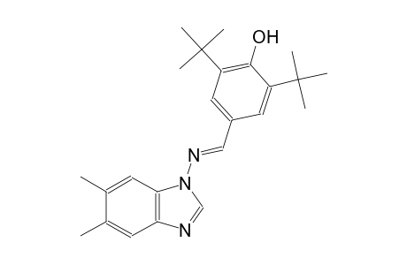 2,6-ditert-butyl-4-{(E)-[(5,6-dimethyl-1H-benzimidazol-1-yl)imino]methyl}phenol