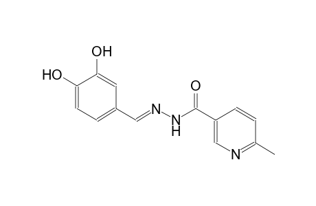 N'-[(E)-(3,4-dihydroxyphenyl)methylidene]-6-methylnicotinohydrazide