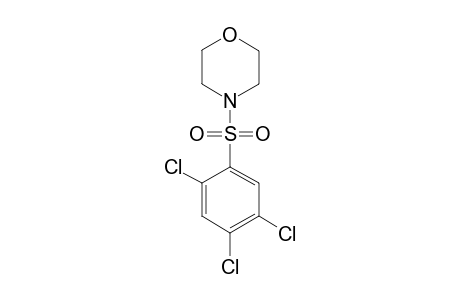 4-[(2,4,5-TRICHLOROPHENYL)SULFONYL]MORPHOLINE