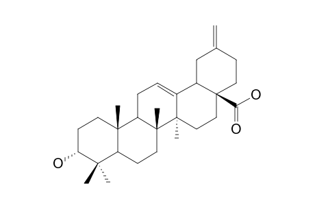 3-HYDROXY-30-NOROLEAN-12,20(29)-DIEN-28-OIC-ACID