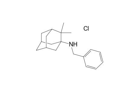 N-Benzyl(2,2-dimethyladamant-1-yl)amine hydrochloride