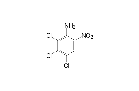 6-nitro-2,3,4-trichloroaniline