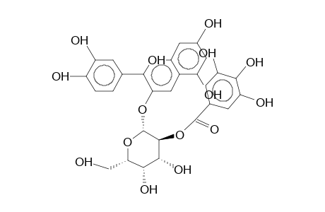 CYANIDIN-3-O-(2-O-GALLOYL-beta-D-GALACTOPYRANOSIDE)