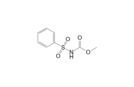 Methyl N-(benzenesulfonyl)carbamate
