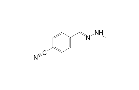 tetraphthalaldehydonitrile, methylhydrazone