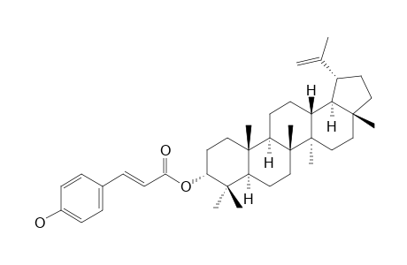 3-ALPHA-E-COUMAROYLLUPEOL